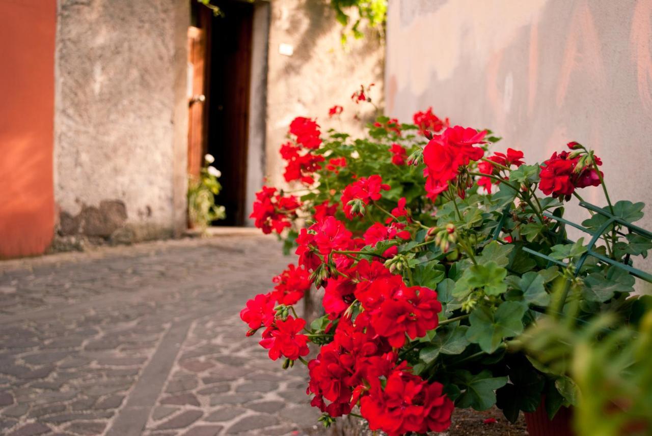 I Gerani Rossi Hotel Paulilatino Exterior photo